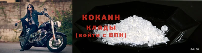 цена наркотик  Заозёрный  КОКАИН Fish Scale 